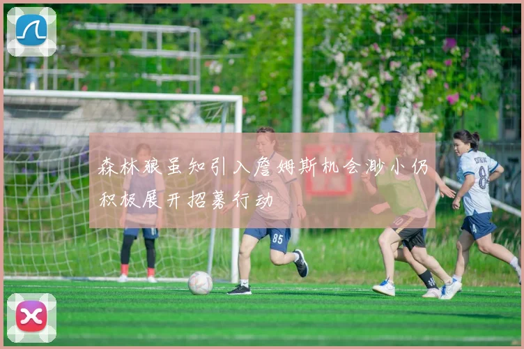 森林狼虽知引入詹姆斯机会渺小仍积极展开招募行动